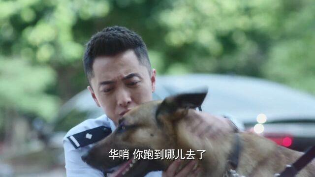 警犬来啦:所长跟警犬交流情诗,警犬瞬间春心荡漾,溜出去谈恋爱