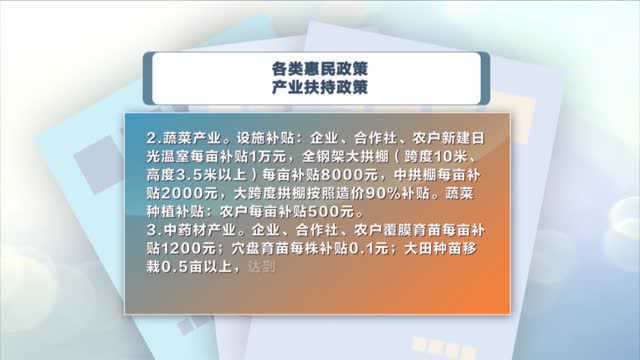 惠民政策解读:产业补贴政策