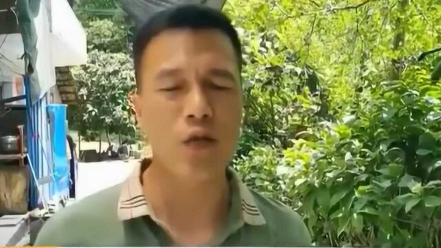 新余分宜:与采石场为邻 村庄不得安宁