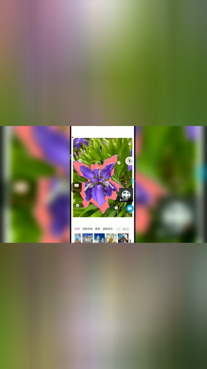 【直播课】如何使用小程序轻松抠图
