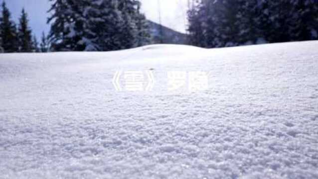 罗隐雪,尽道丰年瑞,丰年事若何,长安有贫者,为瑞不宜多