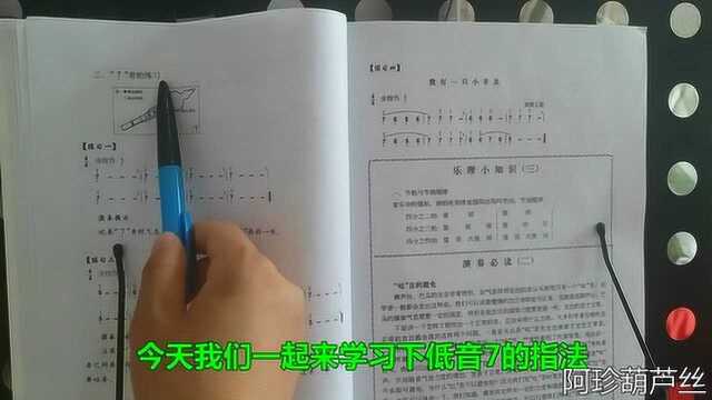 葫芦丝视频,葫芦丝教程初级,教材书第八页低音7的指法,讲解示范