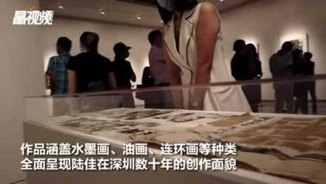 特区40年照亮了艺术家追梦之路,陆佳作品展在关馆开幕