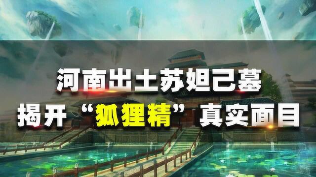 河南出土苏妲己墓,揭开“狐狸精”真实面目,专家:她被冤枉数千年