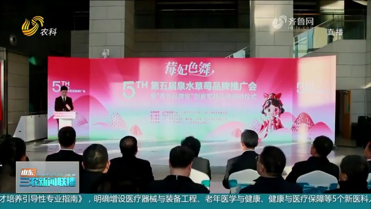 济南:整合历城草莓资源,共同打造泉水草莓品牌,助力农民增收