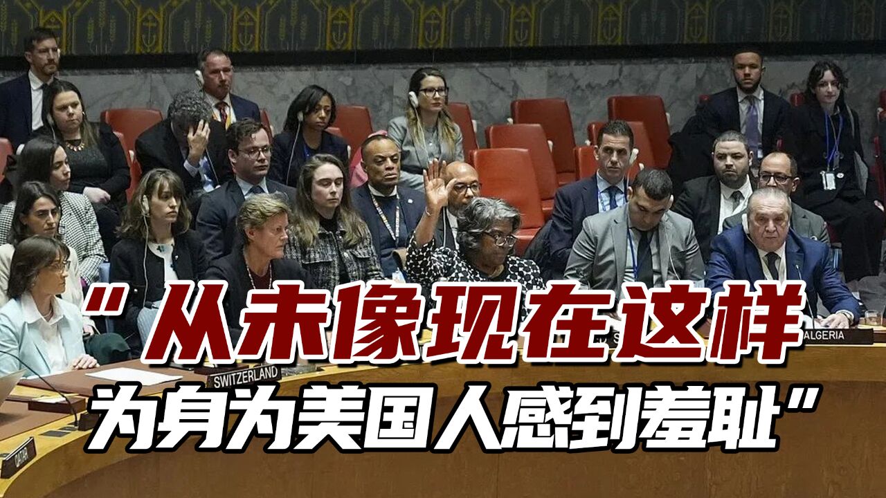 安理会上美国再一票否决,网友:身为美国人,从未感到如此羞耻