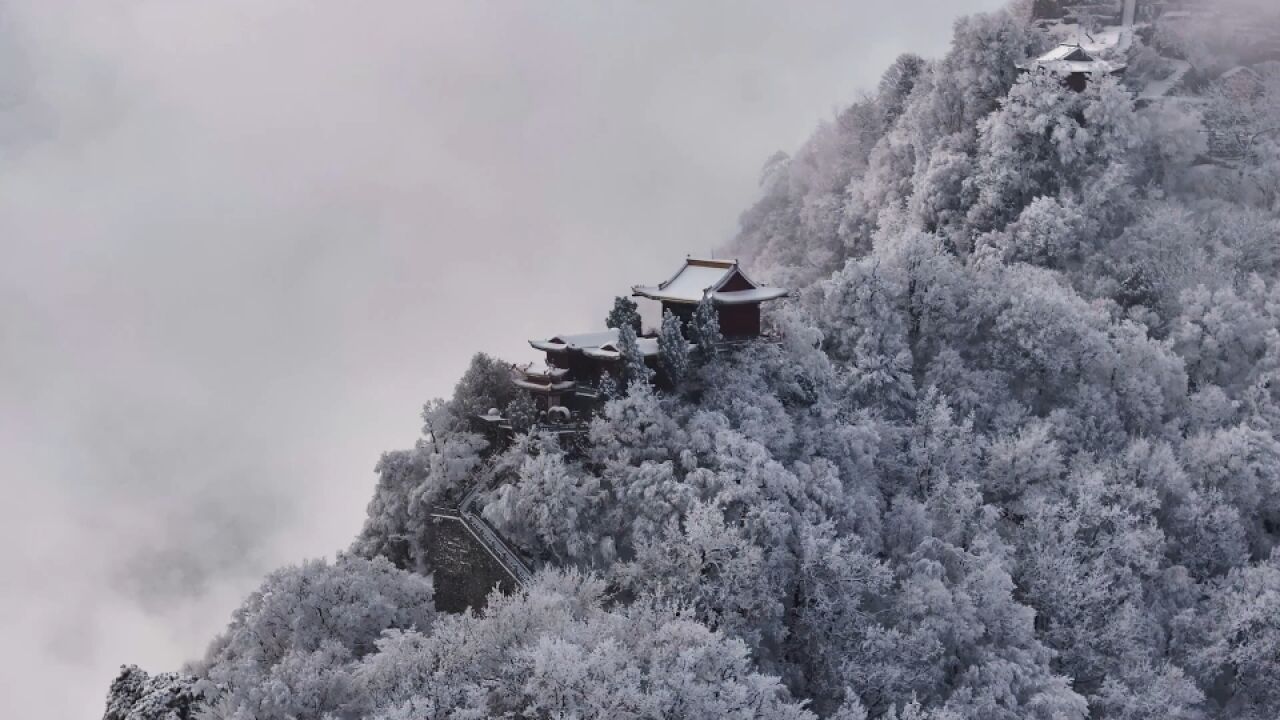 雪落秦岭琼花满树晶莹剔透