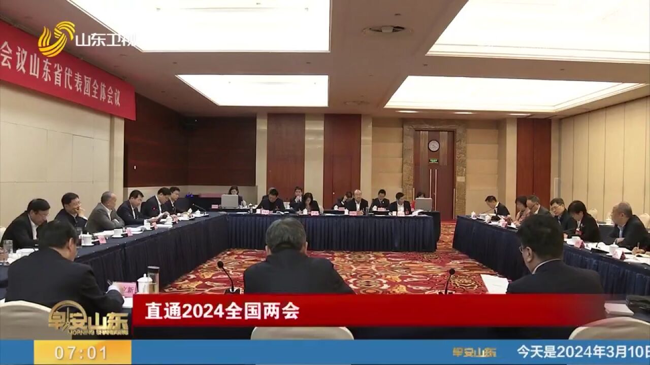 山东代表团举行小组会议,审议最高法最高检工作报告