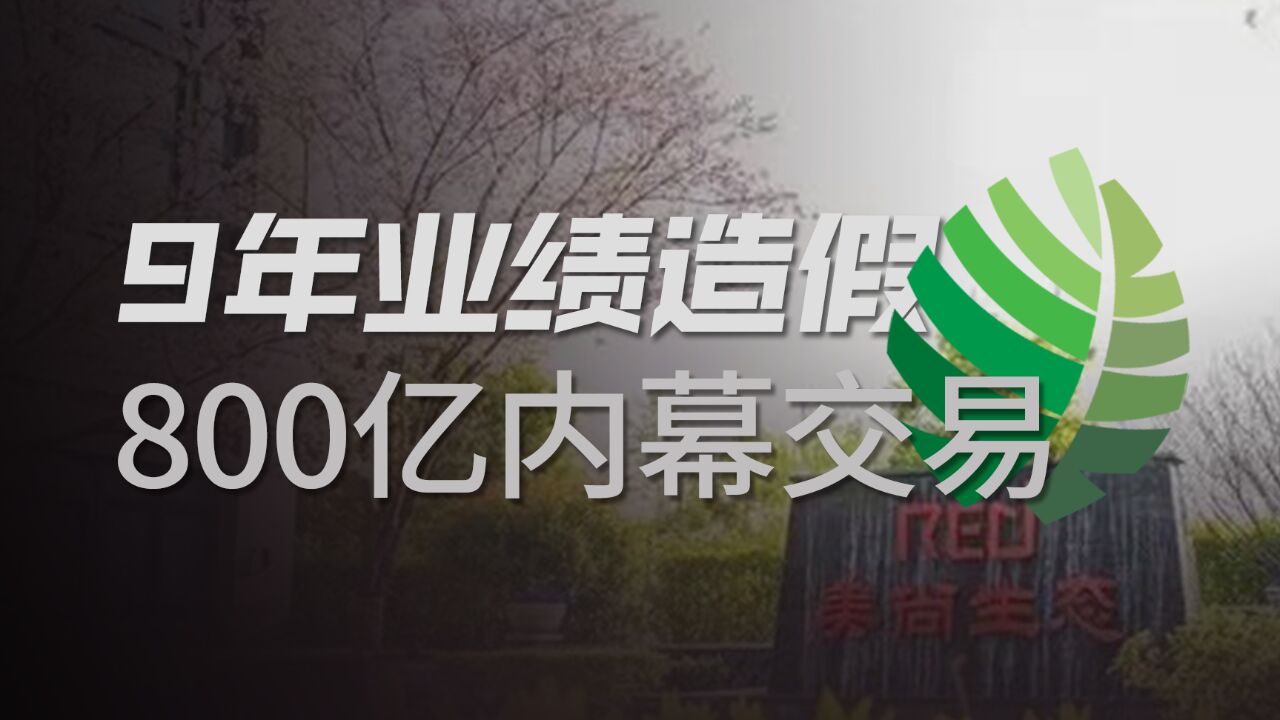 财务造假、操纵股价、内幕交易,美尚如何成为上市捞钱教科书的?