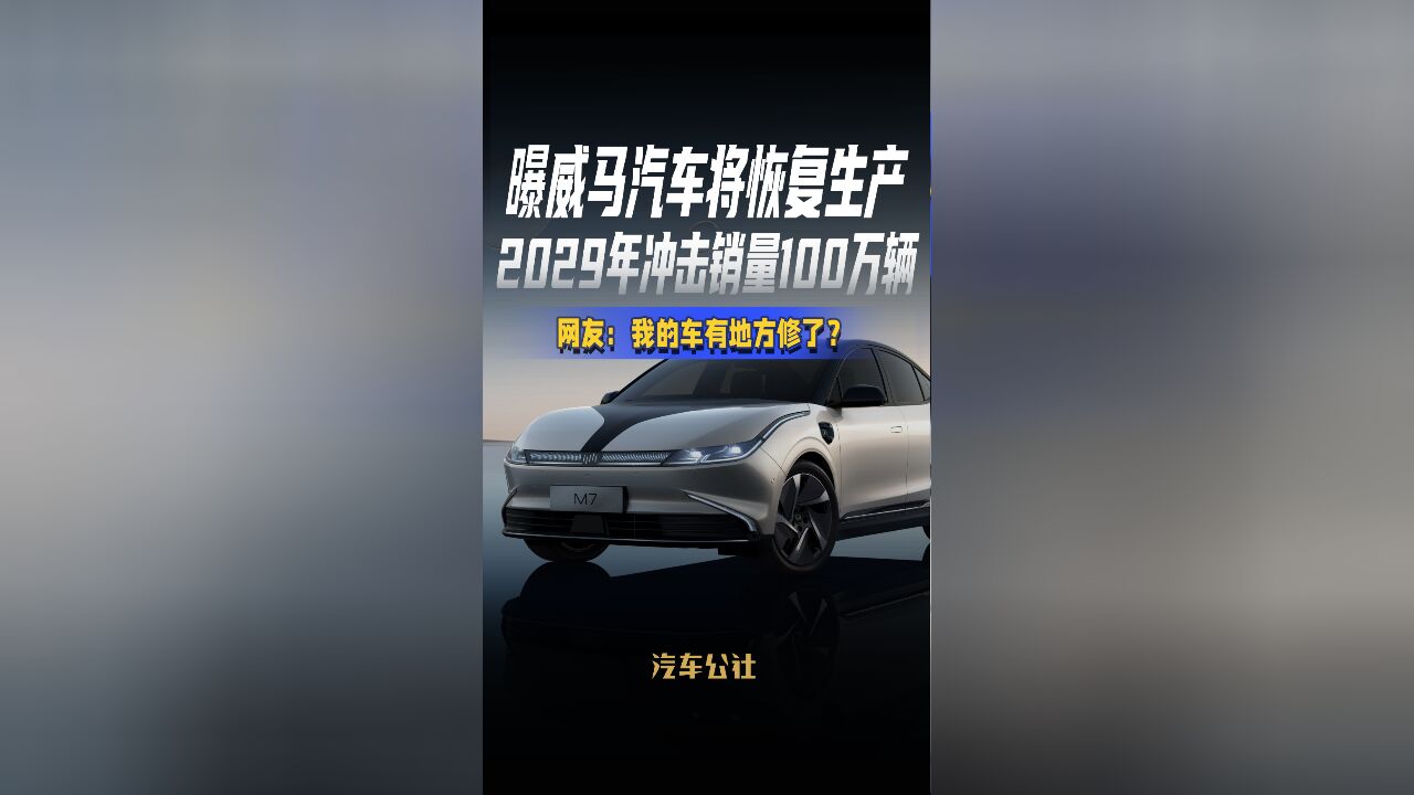 曝威马汽车将恢复生产2029年冲击销量100万辆网友:我的车有地方修了?