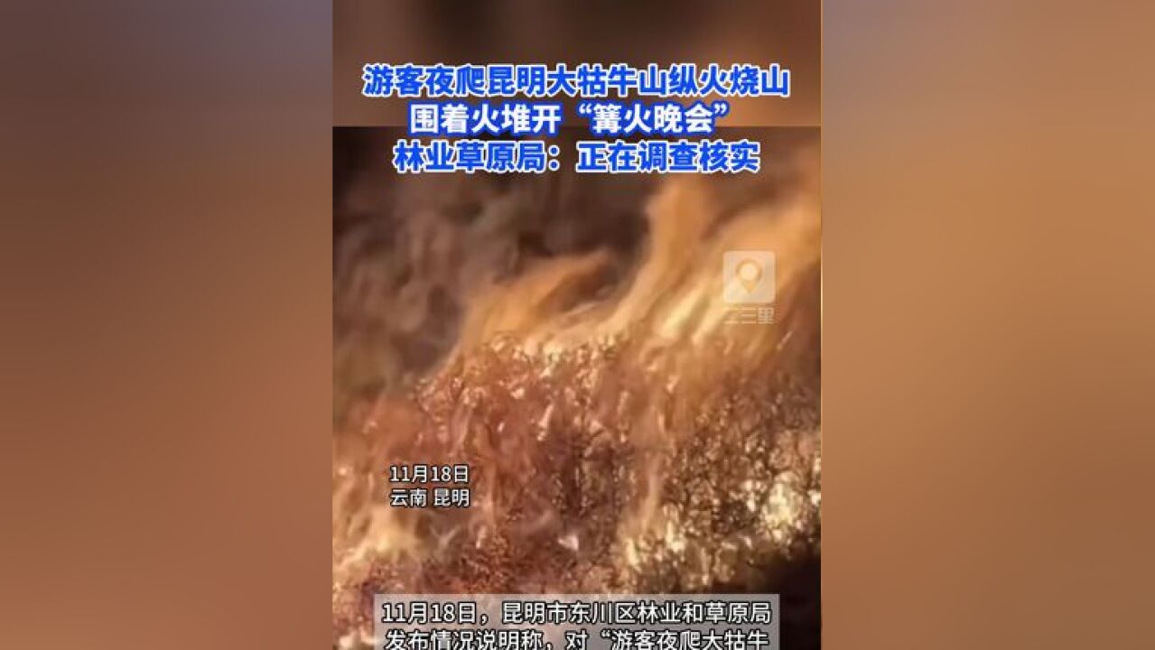 游客夜爬昆明大牯牛山纵火烧山,围着火堆开篝火晚会,林业草原局:正在调查核实