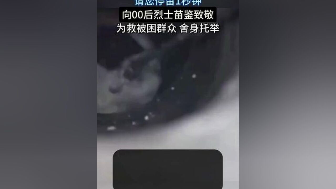 向00后烈士苗鉴致敬