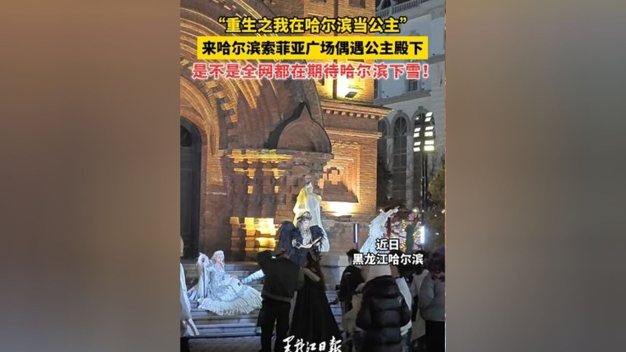 “重生之我在哈尔滨当公主” 是不是全网都在期待哈尔滨下雪