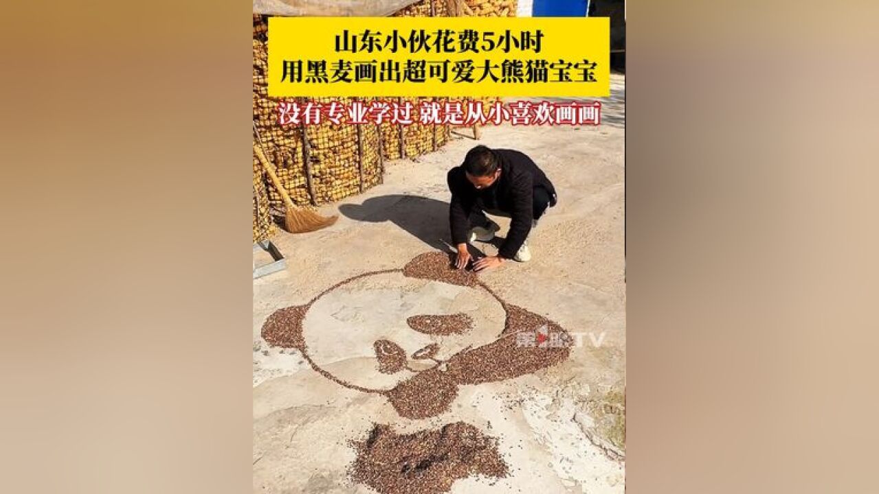 山东小伙花费5小时,用黑麦“画”出超可爱大熊猫:没用专业学过,就是从小喜欢画画