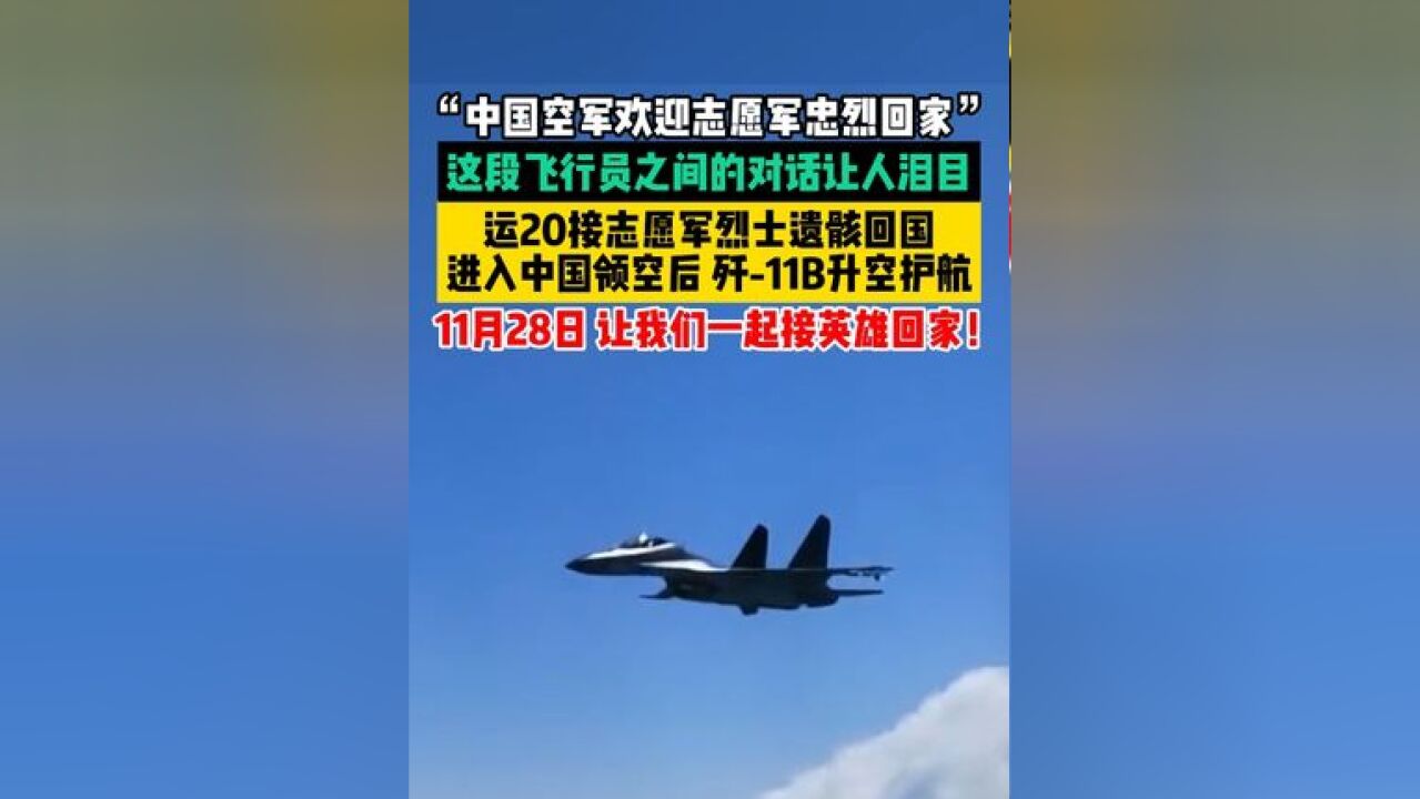 “中国空军欢迎志愿军忠烈回家”!这段飞行员之间的对话让人泪目!运20接志愿军烈士遗骸回国,进入中国领空后,歼11B升空护航