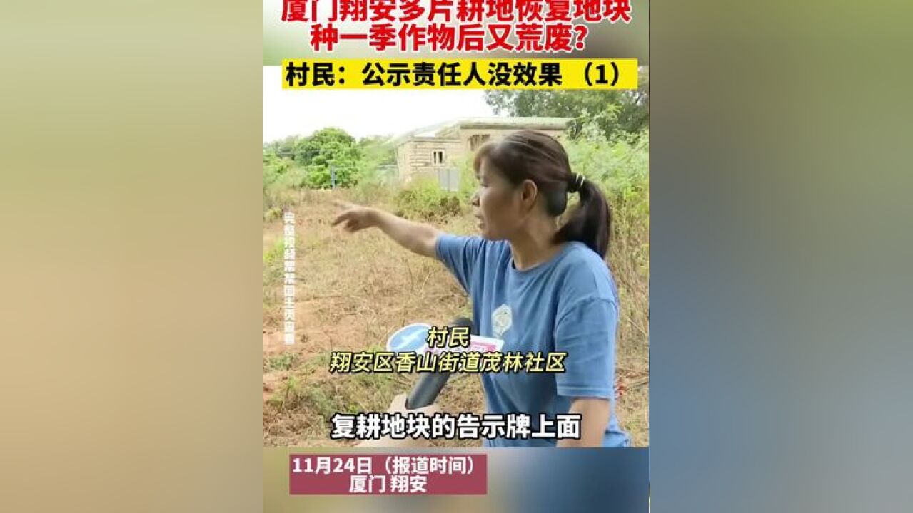 厦门翔安多片耕地恢复地块,种一季作物后又荒废?村民:公示责任人没效果