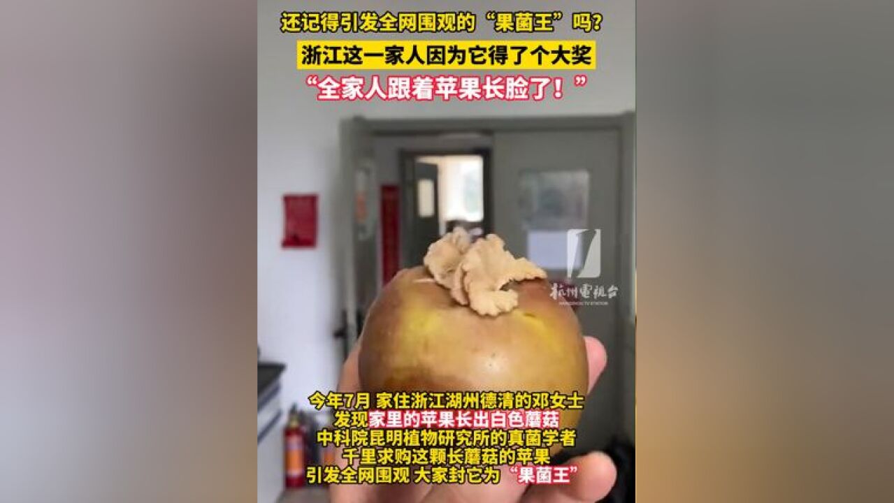 还记得引发全网围观的“果菌王 ”吗? 这一家人因为它得了个大奖,“全家人跟着苹果 长脸了!”