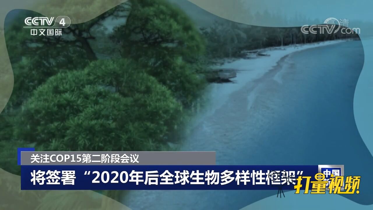 关注COP15第二阶段会议,将签署“2020年后全球生物多样性框架”