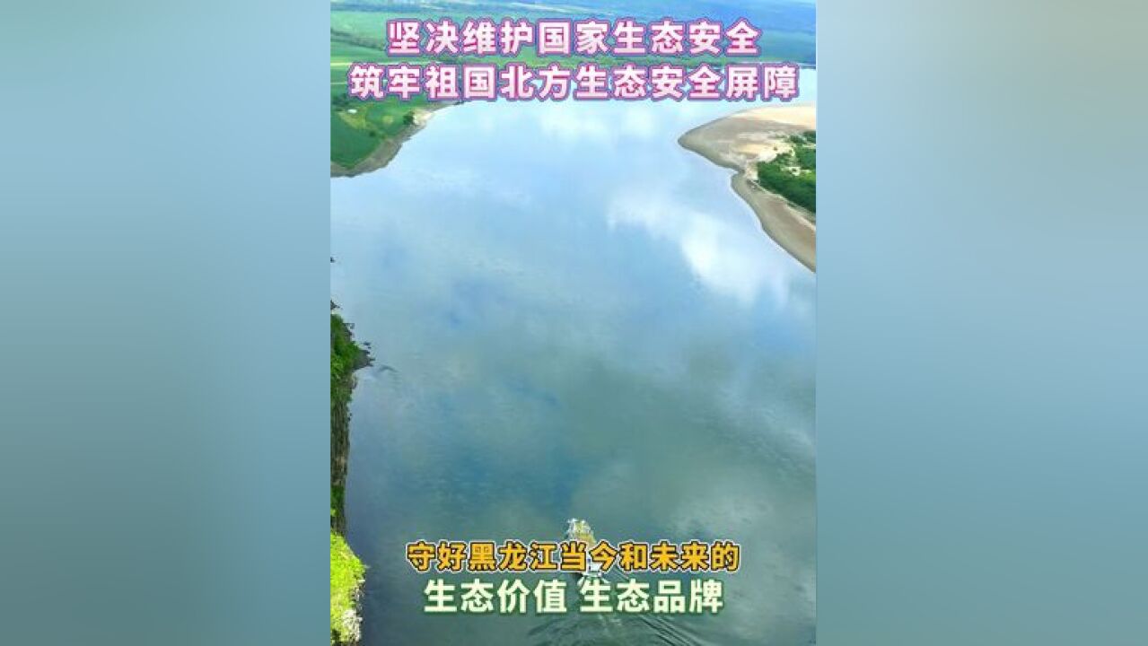 坚决维护国家生态安全 筑牢祖国北方生态安全屏障,守好黑龙江当今和未来的生态价值 生态品牌