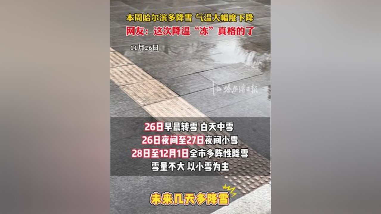 本周哈尔滨多降雪 气温大幅度下降,网友:这次降温“冻”真格的了