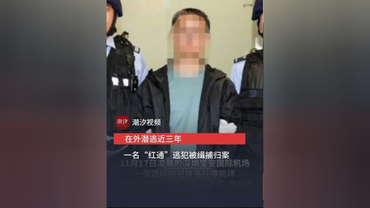 在外潜逃近三年 一名“红通”逃犯被缉捕归案