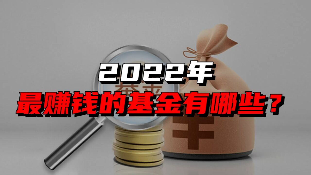 2022年最赚钱的基金有哪些?