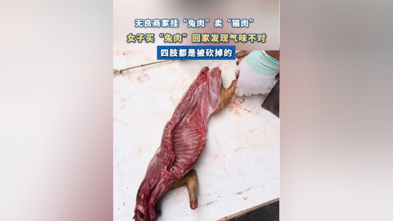 女子买兔肉回家发现商家以猫肉冒充 :“气味不对 四肢都是被砍掉的”