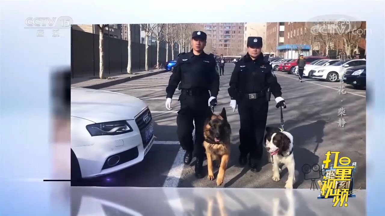 “训犬警花”用美妙的歌喉与乐观态度,讲述自己的故事