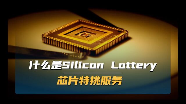 什么是 Silicon Lottery 芯片特挑服务