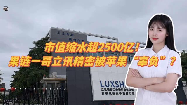 市值缩水超2500亿!果链一哥立讯精密被苹果“辜负”了?