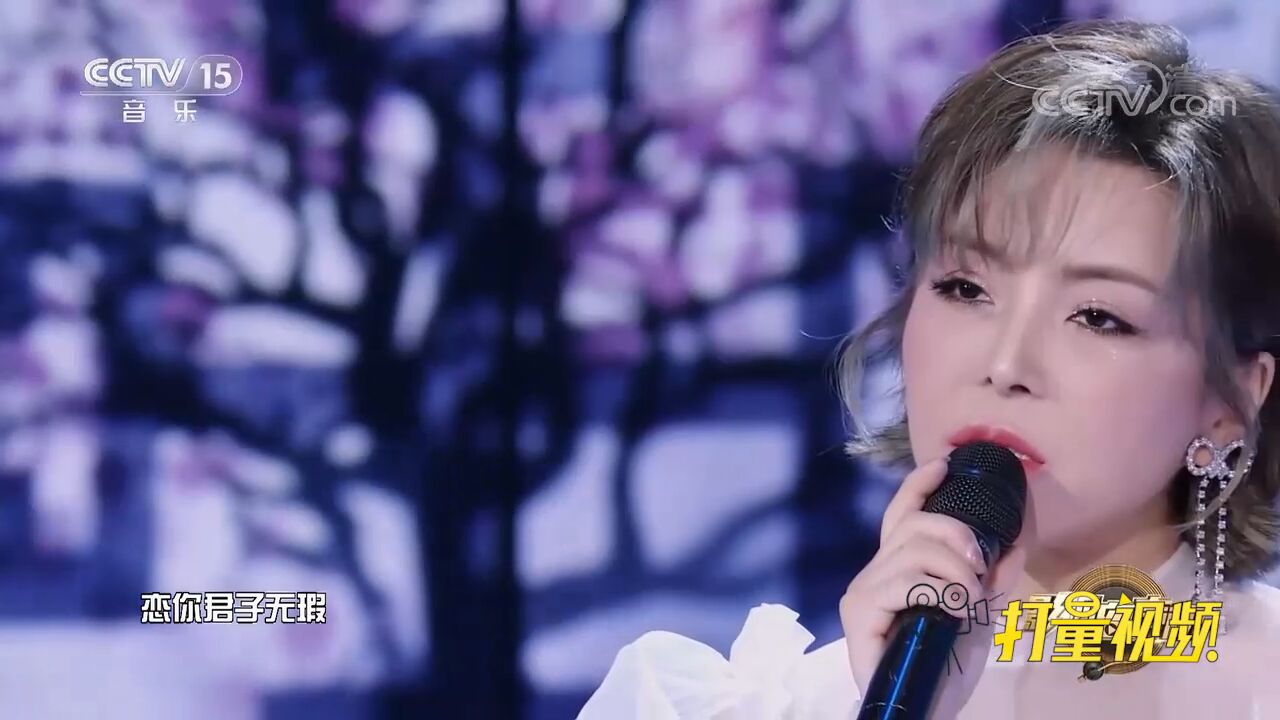 崔子格走心演绎歌曲《双飞燕》,超有感觉