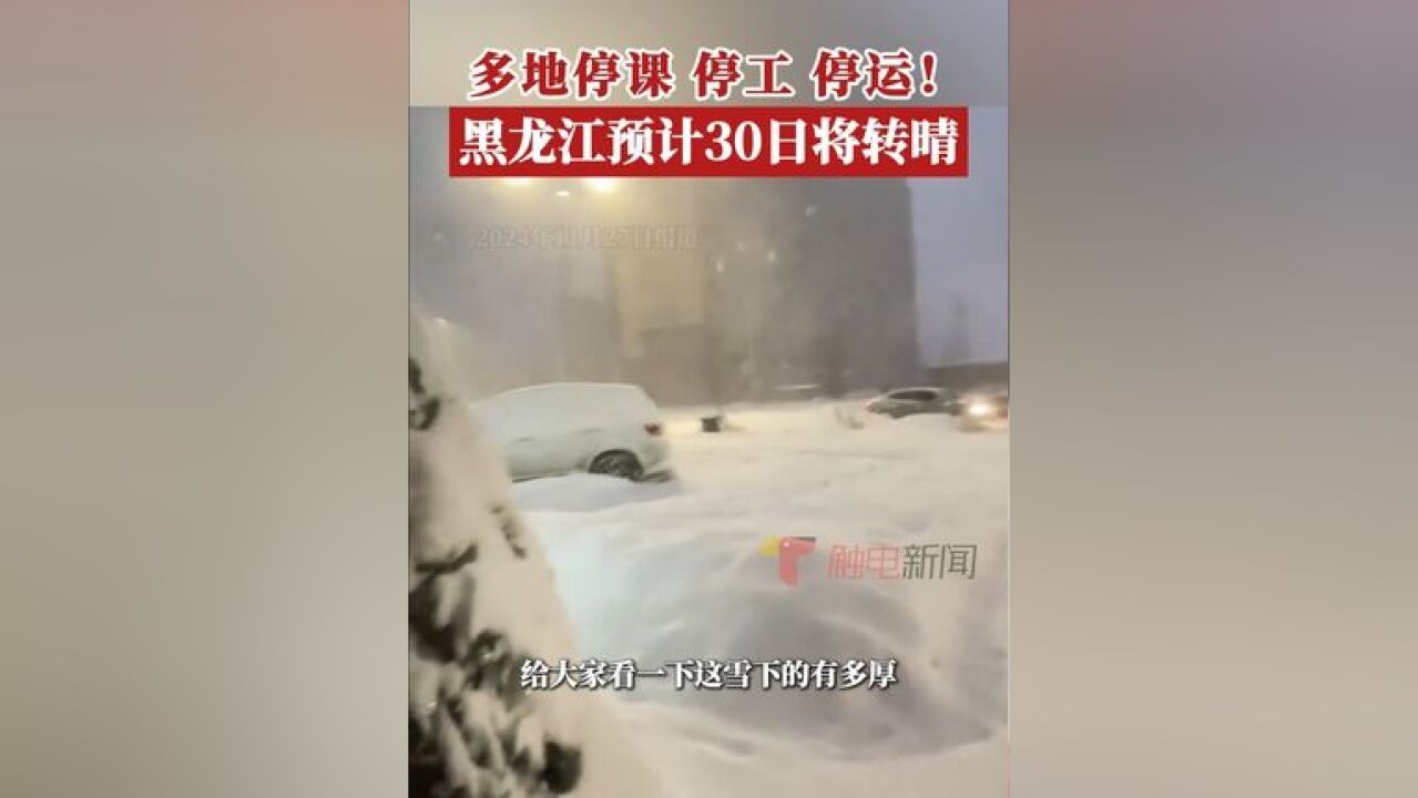 从11月25日开始,黑龙江各地陆续出现降雪天气,鹤岗、黑河等多地学校停课,公交车全部线路停止运行,目前,大部分地区的降雪已...