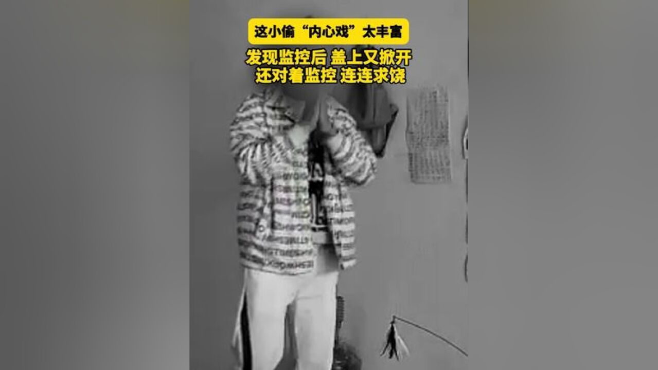 浙江桐乡,市民李先生通过监控发现家里进贼,报警,警方迅速到达抓获小偷张某