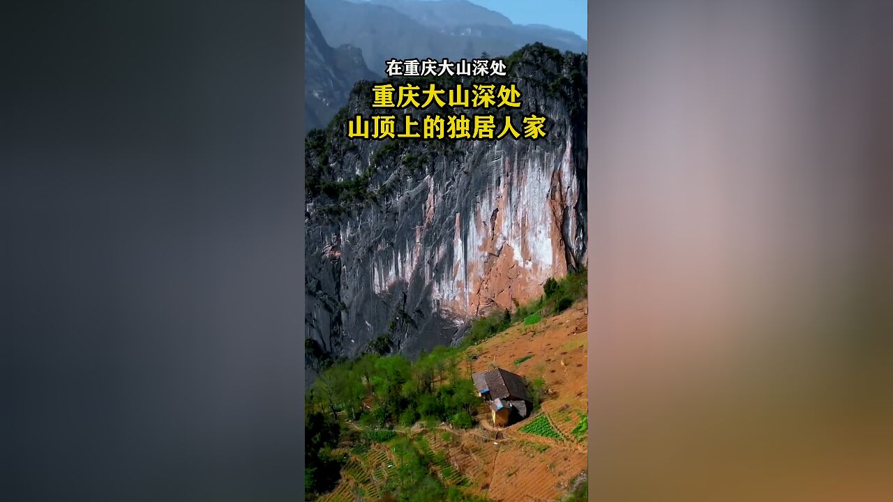 重庆大山深处发现一户独居人家,房子建在山顶之上,一家人就在这深山之中种地放牧