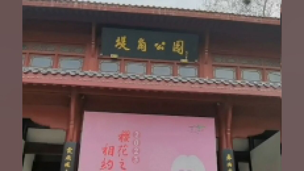 相约堤角去赏樱