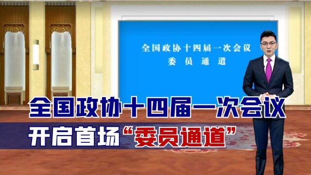 全国政协十四届一次会议开启首场“委员通道”,回应多个热点问题