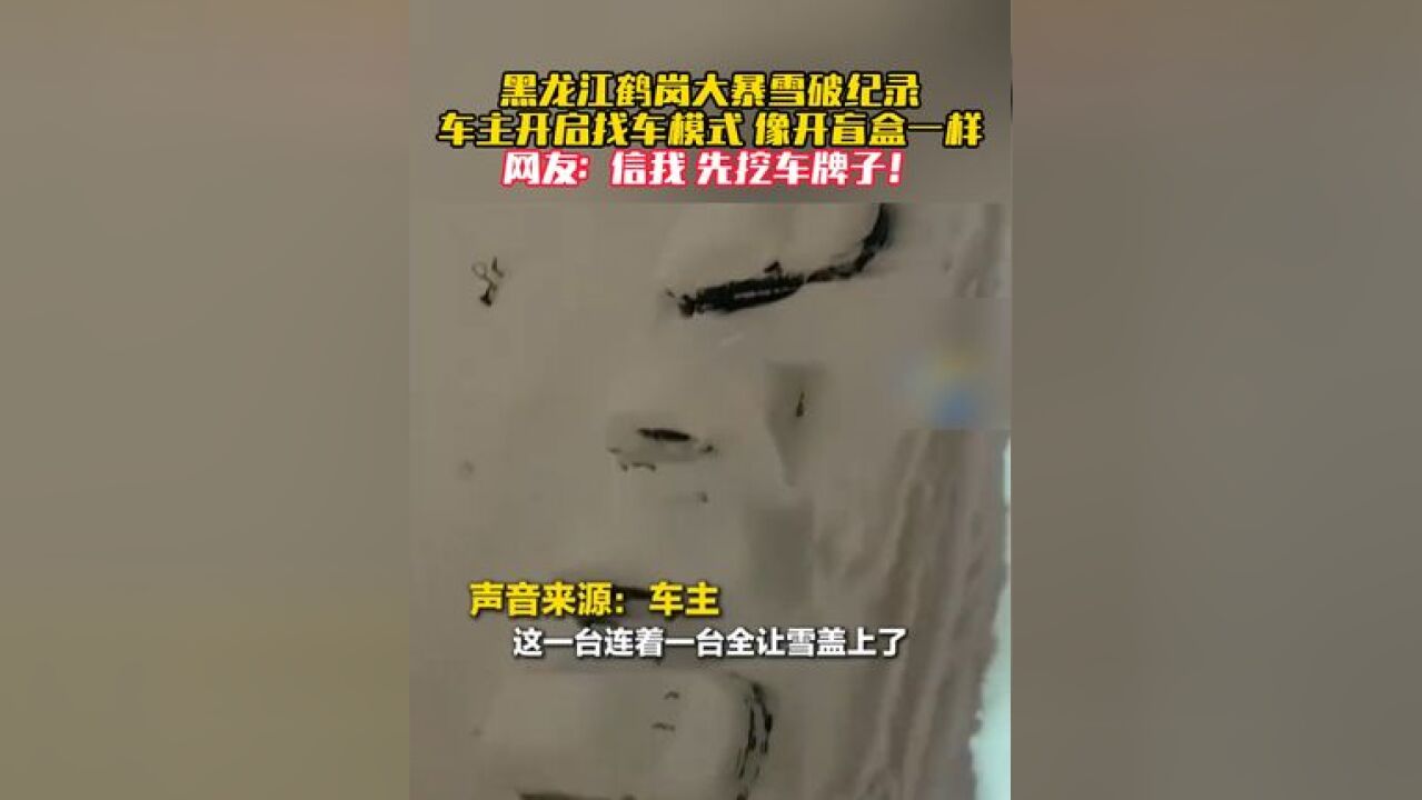 暴雪后黑龙江鹤岗车主开启找车模式:像开盲盒一样