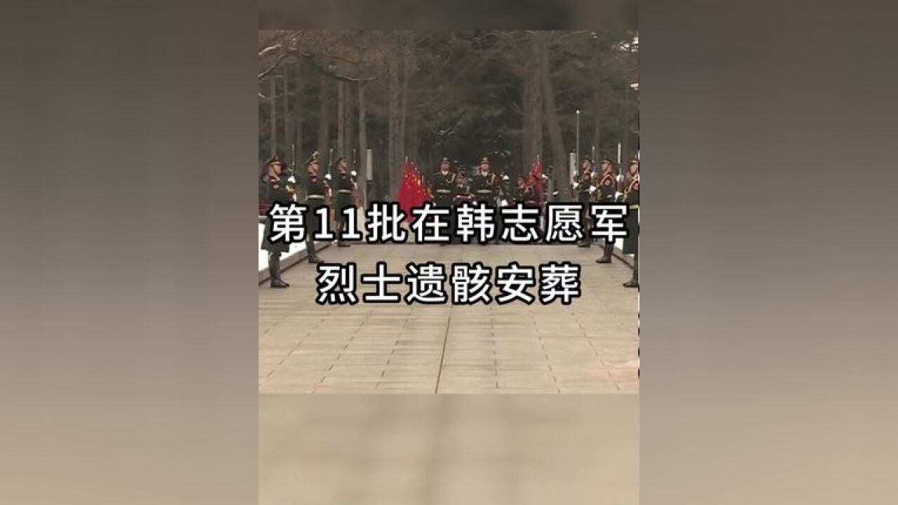 第11批在韩志愿军烈士遗骸安葬 11月29日上午,第十一批在韩中国人民志愿军烈士遗骸安葬仪式在沈阳抗美援朝烈士陵园举行