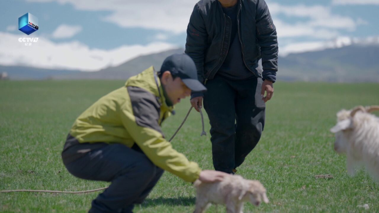 行走天下丨纪录片镜头下草原上豁达的生死观