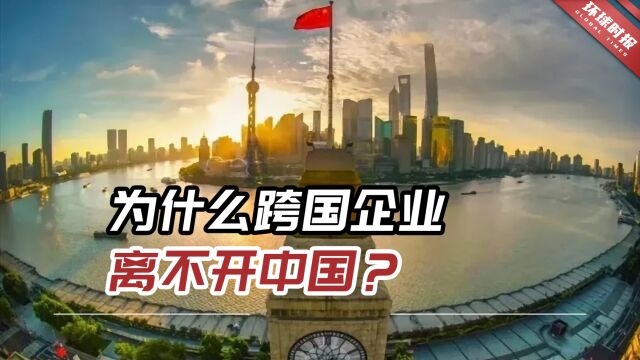 “别试图离开!”俄媒:“为什么跨国企业离不开中国?”