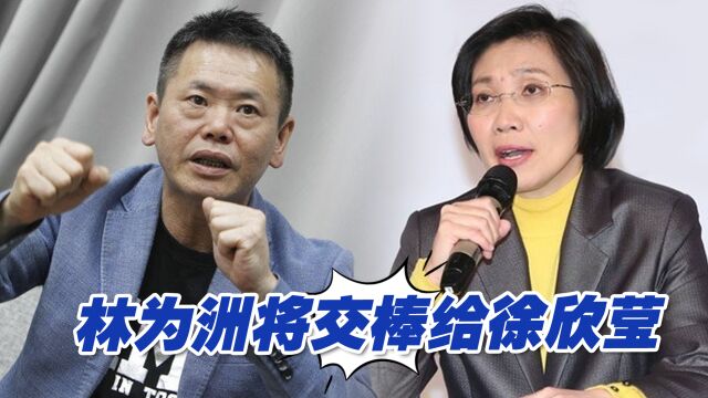 中国国民党籍民代林为洲不拼连任,将交棒给同党女将徐欣莹