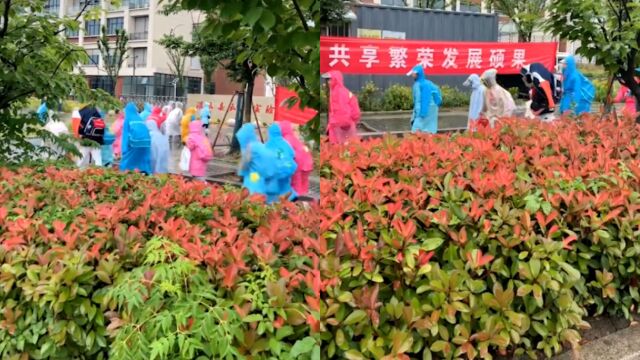 江苏一小学不让孩子打伞进校,没雨衣就淋雨?教育局回应:是为了安全