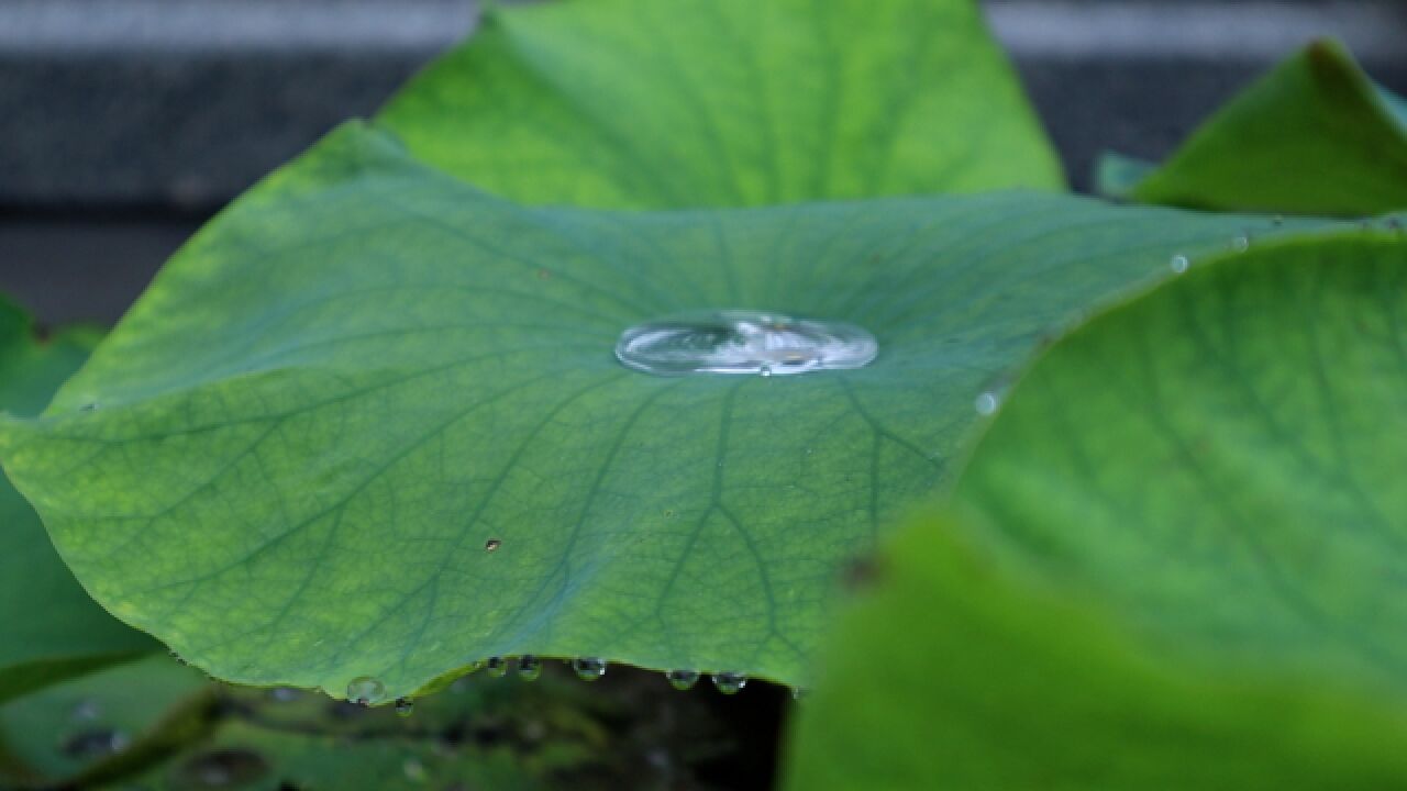 西安一日晴天后又现阴雨天,连续3天都将维持阴雨天气