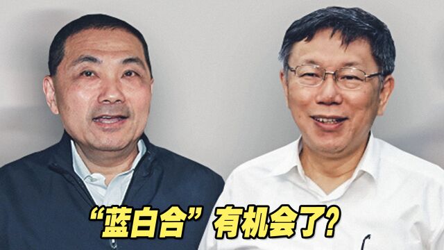 2024台立法机构民代选举,“蓝白合”有机会了?