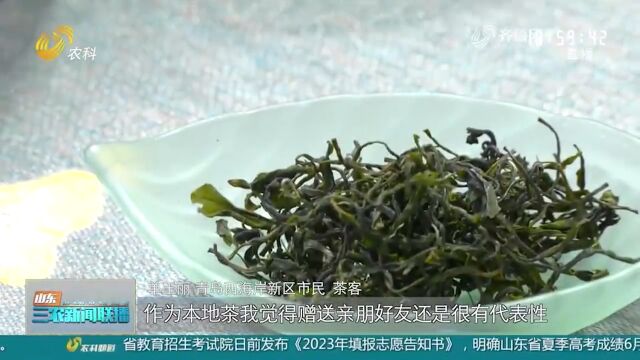 青岛北方茶博会开幕,近700家品牌茶企齐聚一堂,弘扬国茶文化