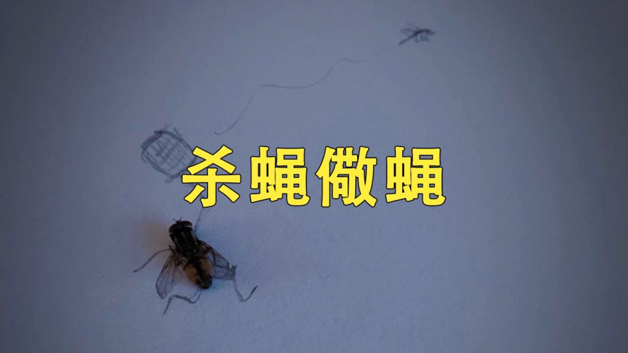 苍蝇看到你拍死了它同伴,也会感到害怕么?