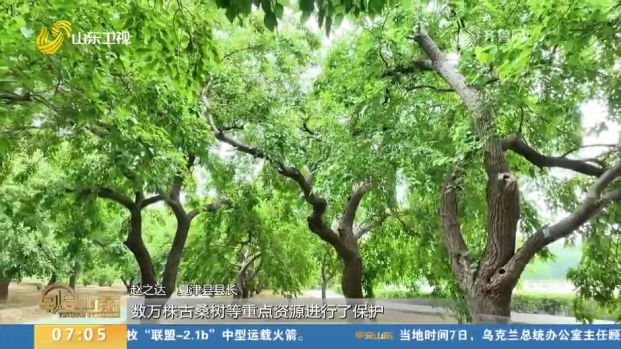 山东:持续推动绿色低碳发展,服务黄河重大国家战略