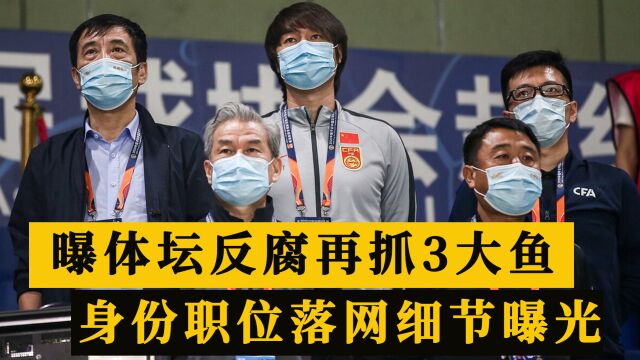 曝体坛反腐3人再被查,2人是奥运冠军和项目主任,落网细节出炉