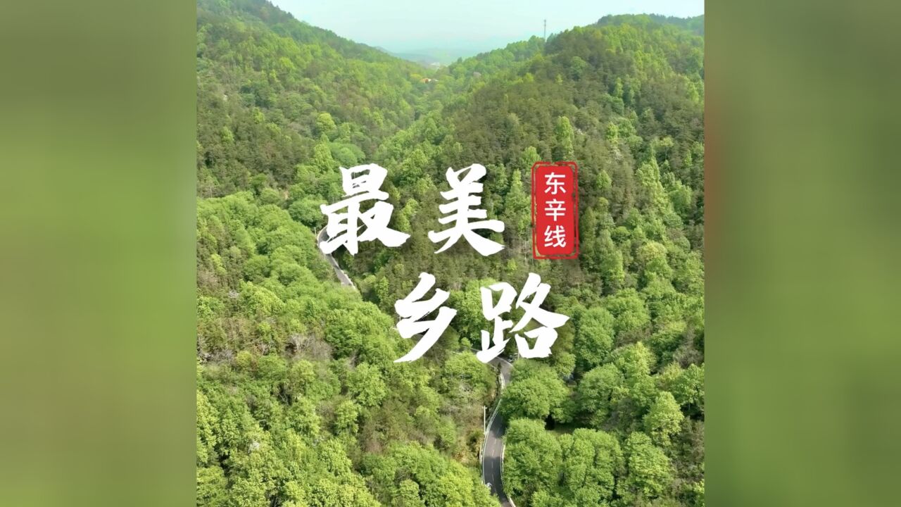 “最美乡路”东辛线:一路生花,每一步都是浪漫的邂逅