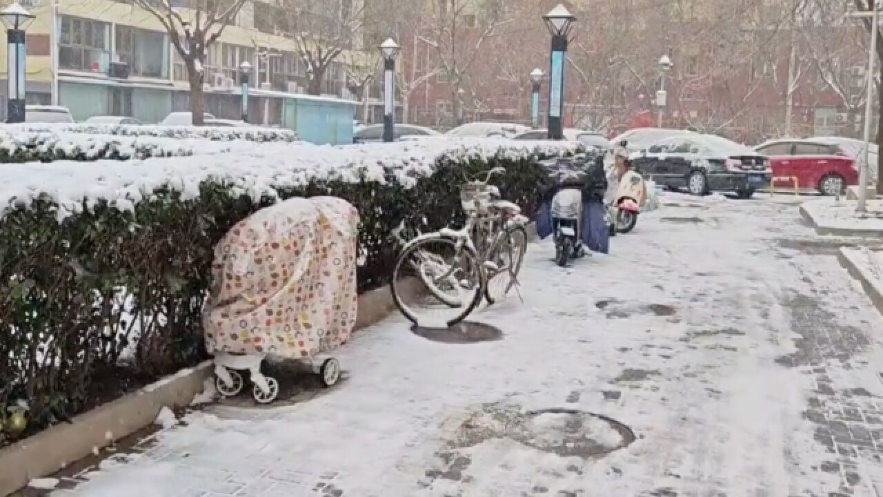 雪花进城!北京大部地区已出现降雪,大雪纷飞地面有积雪